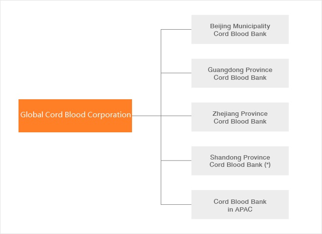 Corporate Structure